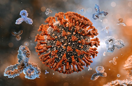 Image: The study evaluated SARS-CoV-2 antibody profiling, specifically titers against the spike (S) and nucleocapsid (N) proteins, as a tool to characterize long COVID (Image credit: iStock)