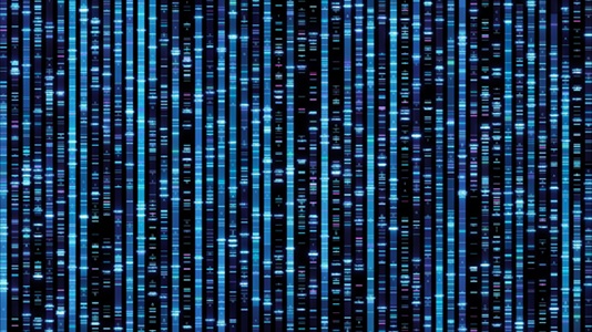 Image: A collaborative study used whole-genome sequencing to analyze 110 children with neurodevelopmental disorders and their parents (Image Credit: Adobe Stock)