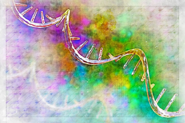 Image: New findings indicate that chimeric RNAs, once viewed as cancer byproducts, can also be part of normal physiology with regulatory functions (Image credit: Adobe Stock)