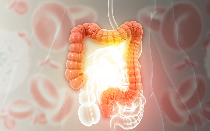 Image: A four‑protein signature can identify pediatric IBD and distinguish its subtypes (Image credit: iStock)