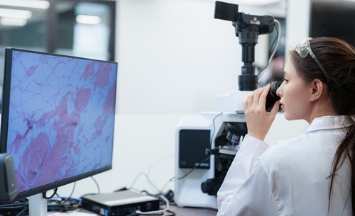 Image: An uncertainty‑aware framework strengthens AI reliability for cancer histology subtyping (Image credit: Shutterstock)