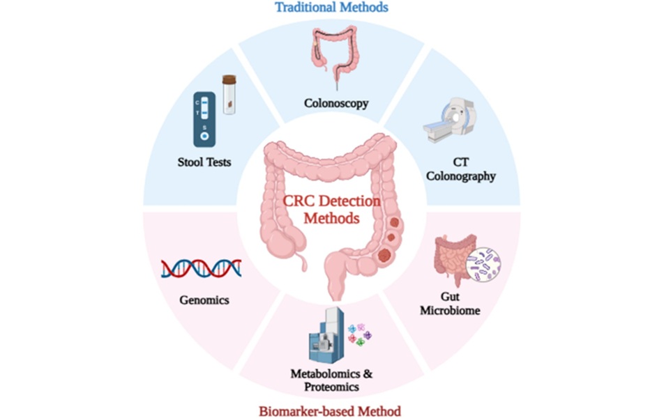 Image: Traditional vs. Biomarker-Based Methods for Colorectal Cancer (CRC) Detection. Traditional CRC detection methods such as colonoscopy, stool-based test (FIT & FOBT), and CT colonography are depicted above. Below, emerging biomarker-based approaches including genomics, gut microbiome, and metabolomic and proteomic profiles are illustrated. (Reem A. Qannita et al., Clinica Chimica Acta, 2026. DOI: 10.1016/j.cca.2026.121013
