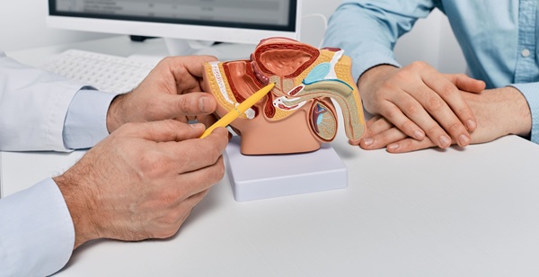 Image: The study\'s authors indicate that adding CDK12 to germline panels could help identify at-risk relatives earlier and support enhanced prostate cancer screening while curative options remain feasible (Image Credit: Adobe Stock)