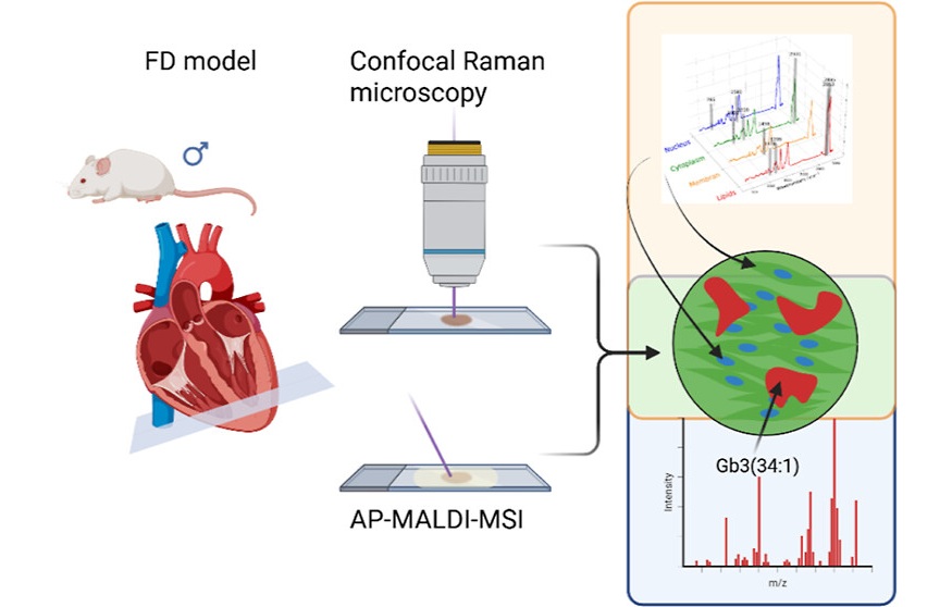 Graphical Abstract  (Johann Dierks et al., Analytical Chemistry (2026). DOI: 10.1021/acs.analchem.5c07622)