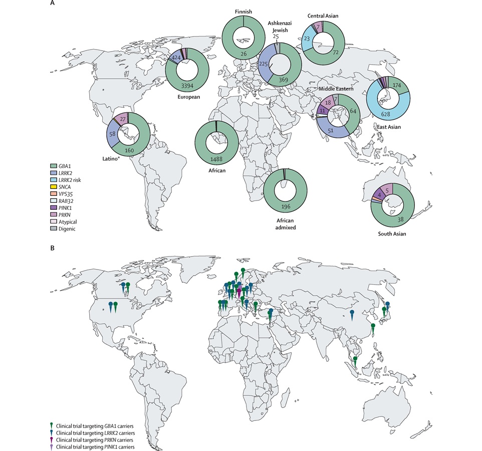 Image: Global genetic spectrum of Parkinson\'s disease and locations of clinical trials targeting gene variant carriers (Lara M Lange et al., The Lancet Neurology (2026). DOI: 10.1016/s1474-4422(26)00198-5) Image: Global genetic spectrum of Parkinson\'s disease and locations of clinical trials targeting gene variant carriers (Lara M Lange et al., The Lancet Neurology (2026). DOI: 10.1016/s1474-4422(26)00198-5)