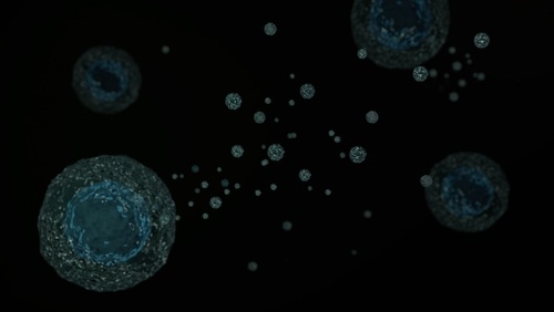 Image: Extracellular vesicles offer a noninvasive way to access meaningful brain signals from a small blood sample (Image Credit: Shutterstock)