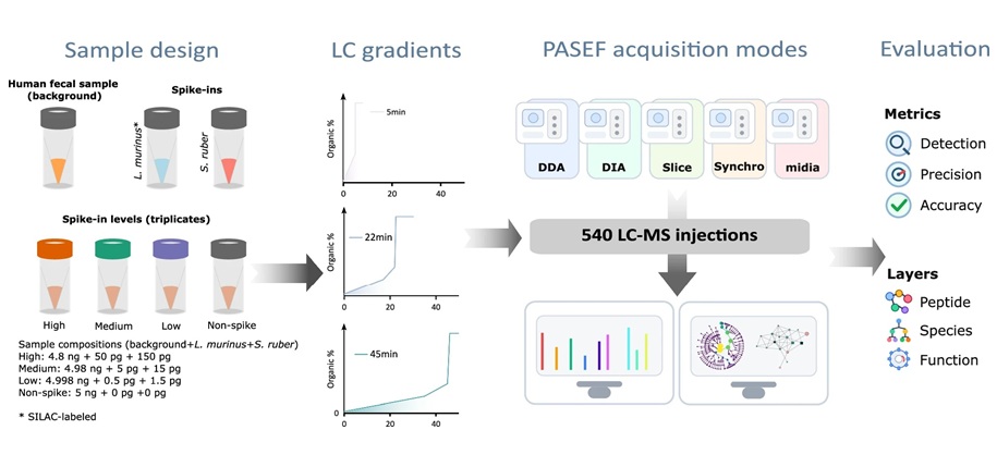 Image: Benchmarking design for systematic evaluation of PASEF acquisition strategies (Xian, F., Mitulovic, G., Ravi Kumar, R.K. et al.  Nature Communications. https://doi.org/10.1038/s41467-026-75845-5)