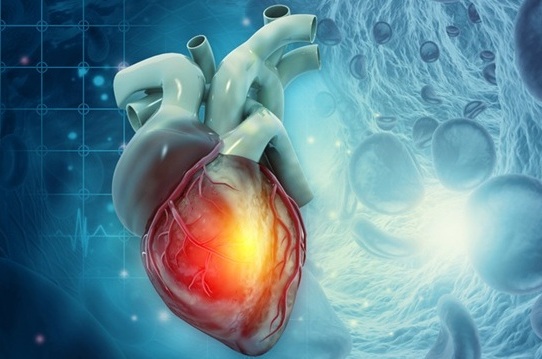 Image: The approach supports myocardial infarction diagnosis in resource-limited settings by reducing delays between clinical suspicion and biochemical confirmation (Image Credit: Adobe Stock)