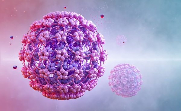 Image: Patient-collected swabs showed nearly twice the rate of high-risk HPV positivity reported in a recent large cervical cancer screening study in Washington (Image Credit: Adobe Stock)