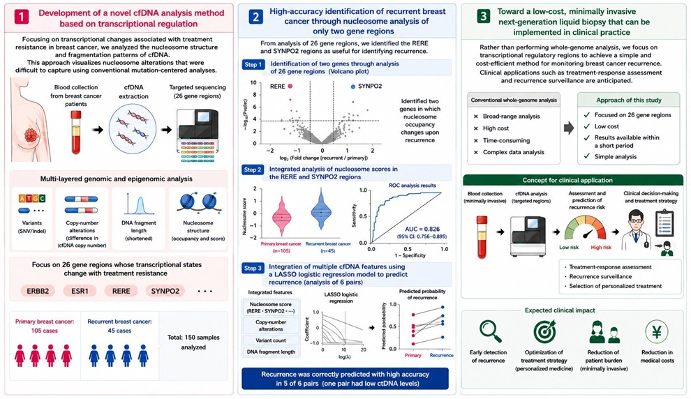 Image: Overview of the novel cell-free DNA (cfDNA) analysis method for detecting breast cancer recurrence. (image Credit: Kumamoto University)