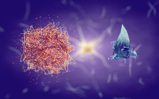 Image: The method combines ultrasonic and fluorescence techniques to track amyloid aggregation in real time (Image Credit: Shutterstock)