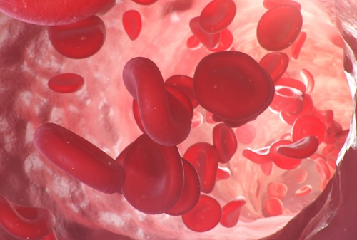 Image: New findings indicate that people with borderline anemia—hemoglobin just above WHO anemia thresholds—face a higher mortality risk than those with higher hemoglobin levels within the normal range (Image Credit: 123RF)