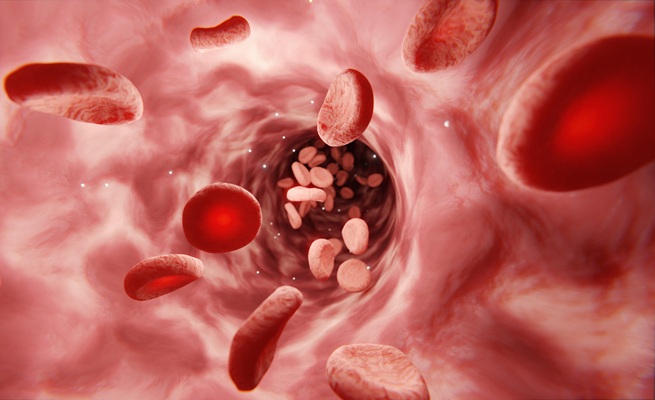 Image: New findings indicate that people with borderline anemia—hemoglobin just above WHO anemia thresholds—face a higher mortality risk than those with higher hemoglobin levels within the normal range (Image Credit: 123RF)