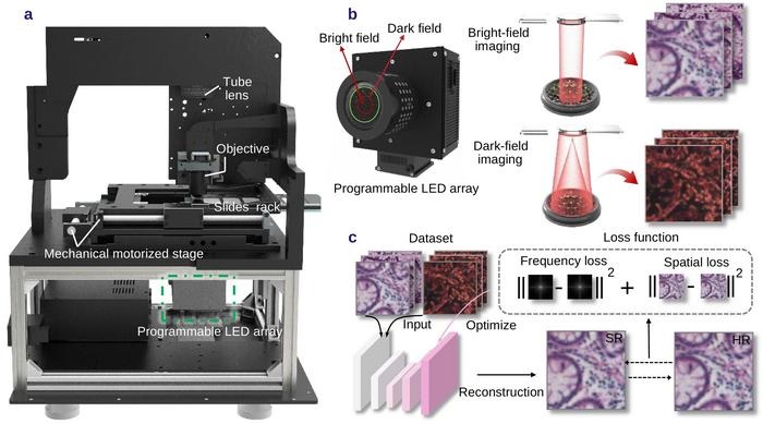 Image: A programmable LED illumination source rapidly switches between bright-field and dark-field modes to acquire multimodal images. By integrating complementary information through a physics-guided deep neural network, the framework enables high-fidelity super-resolution reconstruction of low-resolution pathology images. (Prof. Qian Chen, Prof. Chao Zuo from Nanjing University of Science and Technology, and Prof. Juergen W. Czarske from TU Dresden Image source link: https://doi.org/10.29026/oea.2026.260060)