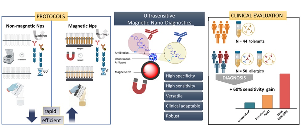 Image: Graphical Abstract (Jose A. Céspedes, Maria I. Montañez, Isabel M. Jiménez, et al. Magnetic nanoparticles enable clinically relevant in vitro diagnosis of beta-lactam allergy. Materials Today Bio (2026). DOI: 10.1016/j.mtbio.2026.103356)