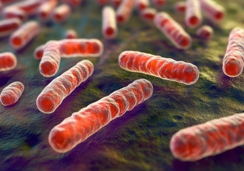 Image: NTM are about 200 environmental bacteria found in soil and water that can cause chronic, tuberculosis-like lung infections but are distinct from the Mycobacterium tuberculosis complex (Image Credit: Adobe Stock)