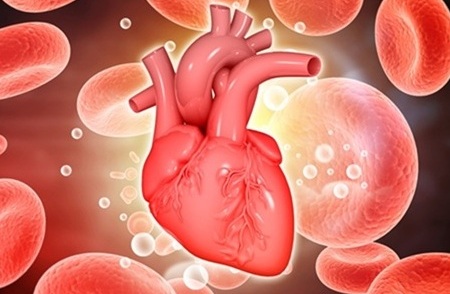 Image Credit: Shutterstock