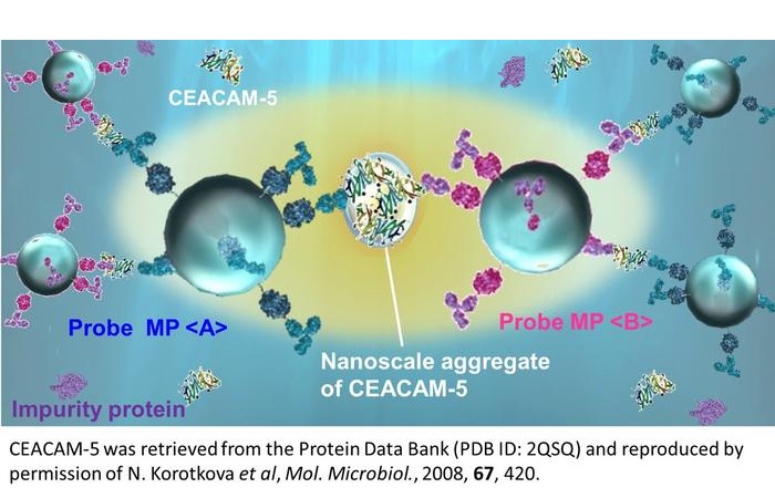 Image: Antibody-coated microscopic beads are introduced into a tiny flow channel containing blood plasma. Laser irradiation enhances their interaction with CEACAM-5, a colorectal cancer biomarker, causing the beads to assemble and generate a detectable signal. (Image Credit: Figure reproduced from Iida et al., Nanoscale Horizons(2026), DOI: 10.1039/d6nh00017g. Licensed under CC BY-NC 4.0.)