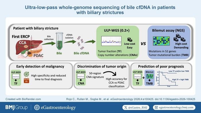 Image: Schematic overview of the obtained results. (Carla Rojo, María Rullan, Miguel Sogbe, et al. eGastroenterology, 2026. doi:10.1136/ egastro-2026-100425)