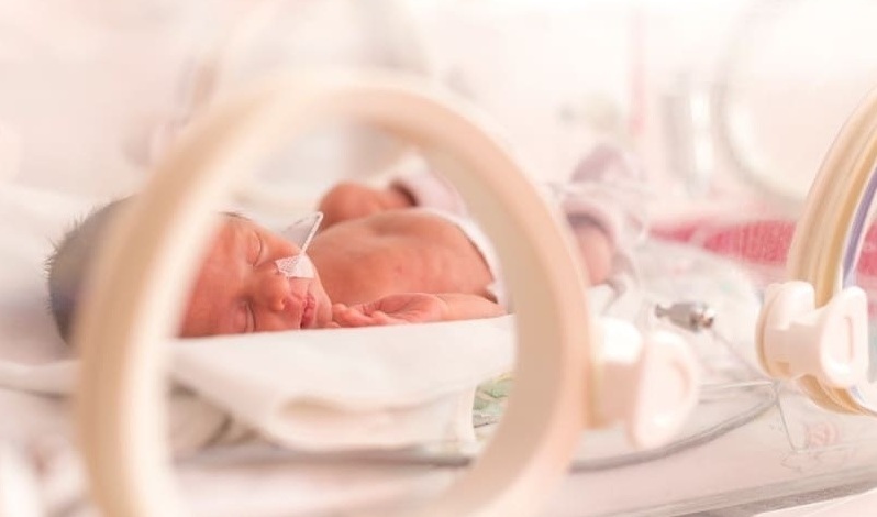 Image Credit: Adobe Stock