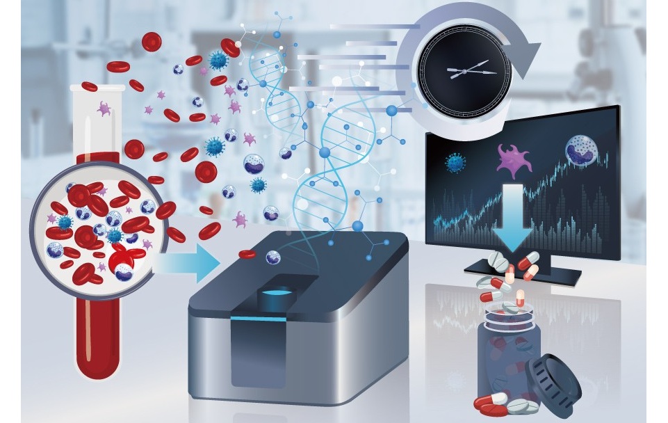 Image: Overview of a rapid diagnostic workflow for fungal bloodstream infections (Photo courtesy of Professor Hiroki Takahashi and IMO, Chiba University, Japan)