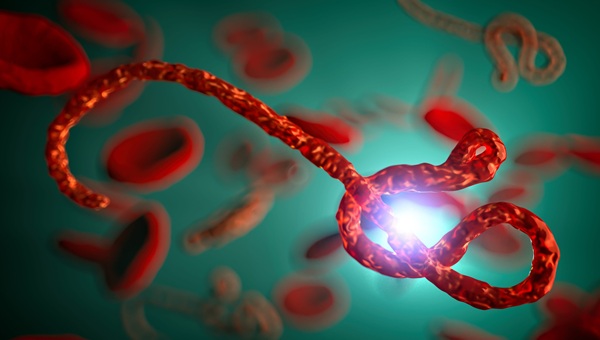 Image: As the Bundibugyo Ebola outbreak continues in the DRC, testing demand is exceeding laboratory capacity, underscoring the need for public-private partnerships to strengthen the response (Image Credit: 123RF)