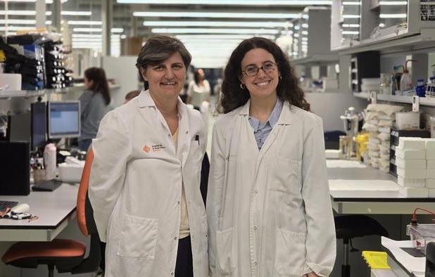 Image: Dr. Olivia Belbin, head of the Molecular Neurodegeneration Group at IR Sant Pau and study corresponding author, with Alba Cervantes (right), first author and IR Sant Pau researcher (Photo courtesy of IR Sant Pau)