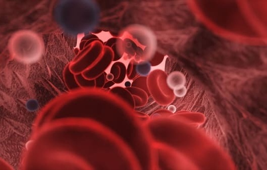 Image: A simple daily blood test could help critically ill sepsis patients stop antibiotics sooner, reducing overuse and potentially helping combat antibiotic resistance (Image Credit: Adobe Stock)