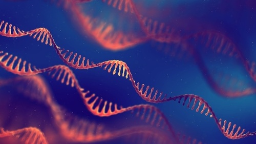 Image: The clinical study evaluated whether small RNA biomarkers could help predict survival outcomes in patients with locally advanced, non-resectable stage III lung cancer. (Image Credit: Shutterstock)
