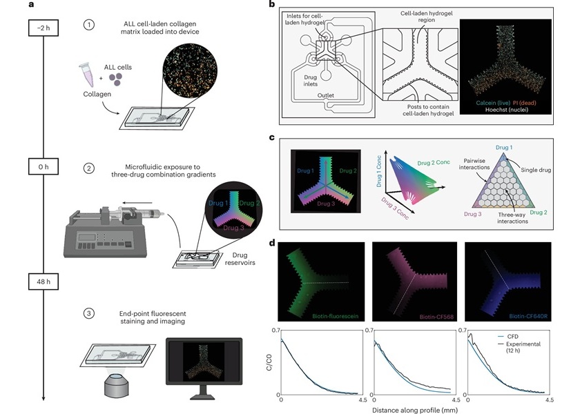 Image: Device schematic and experimental workflow (Williams, E.K., Zhang, D.Y., Alese, T.T. et al. Nature Biomedical Engineering, 2026. https://doi.org/10.1038/s41551-026-01818-0)