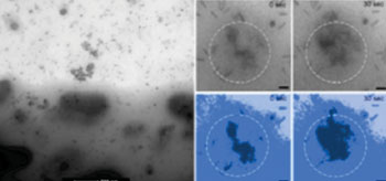 Image: A new imaging techniques to see how brain cancer cells (the darker gray on the bottom of the large image above) take in gold nanorod treatment (the small gray specks). The four magnified images on the right show how the cell takes up the treatment across a span of 30 seconds (Photo courtesy of VirginiaTech).