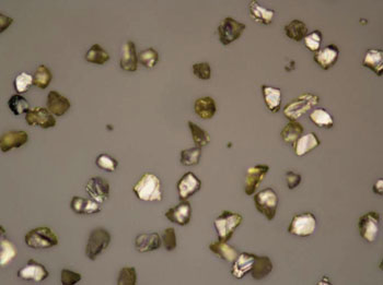 Image: Nano-diamonds viewed through an optical microscope (Photo courtesy of the University of Sydney).
