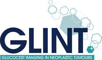Image: The EU-funded Horizon 2020 GlucoCEST Imaging in Neoplastic Tumours Project (Photo courtesy of GLINT 2016).