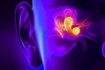 Image: A new way of imaging the middle ear uses infrared light (Photo courtesy of MIT).