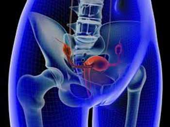Image: According to a new study, women with cervical and endometrial cancer have fewer gastrointestinal (GI) and genitourinary (GU) side effects when treated with intensity-modulated radiation therapy (IMRT) (Photo courtesy of ASTRO).