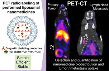 Image: PET imaging of drug delivery in a mouse tumor model (Photo courtesy of KCL).