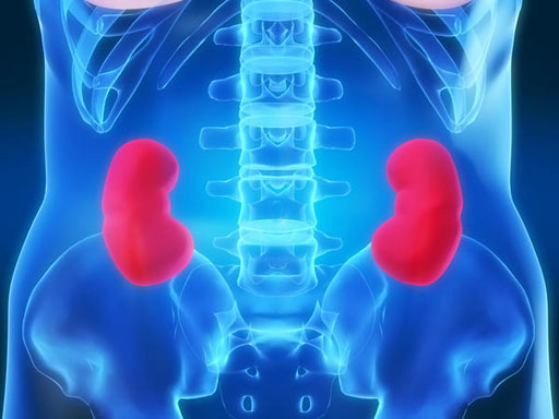 Image: New research suggests cryoablation could be a safe and effective option for some patients with renal cell carcinoma (Photo courtesy of Healthtap).