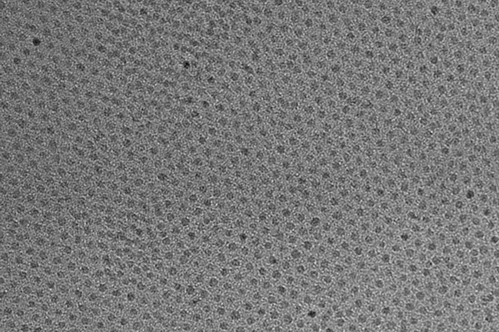 Image: A high-resolution transmission electron micrograph (TEM) of iron oxide particles, 3 nm in diameter, coated with a zwitterion layer, which can easily be disposed of by the kidneys after injection (Photo courtesy of The Researchers, MIT).