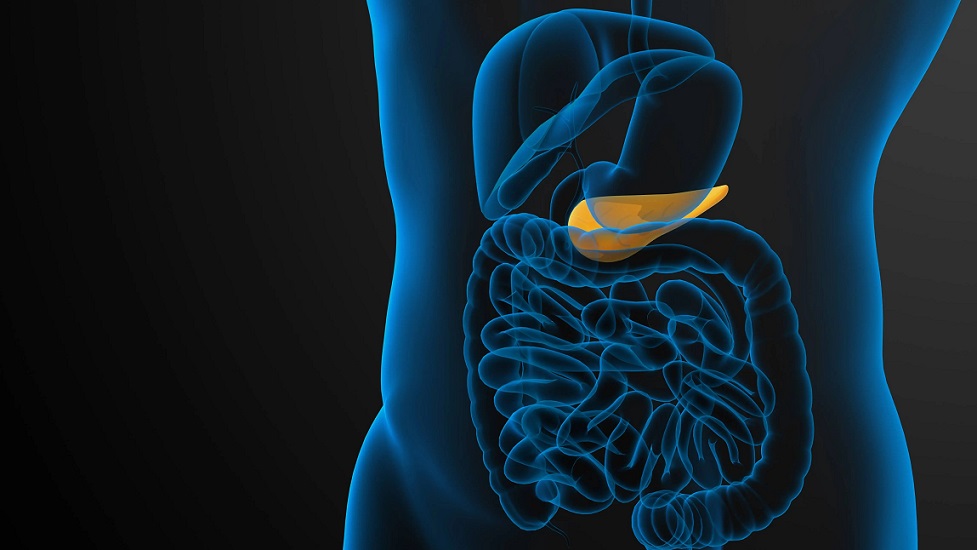 Image: A new AI innovation has inspired hope in early detection of pancreatic cancer (Photo courtesy of Mayo Clinic)
