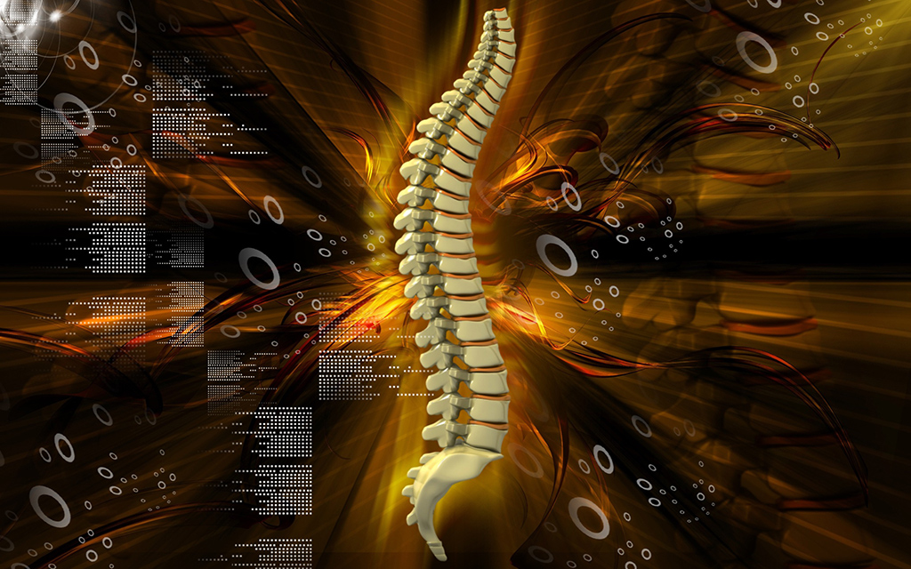 Image: The MRI-based algorithm can differentiate between different spinal pathologies (Photo courtesy of 123RF)