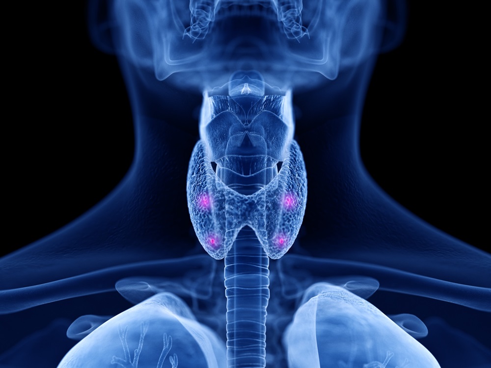 Image: A newly developed PET imaging agent is effective in identifying medullary thyroid cancer (Photo courtesy of 123RF)