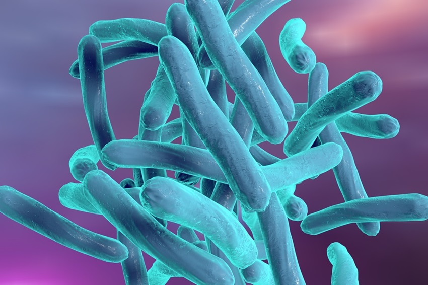Image: Novel approach identifies people at risk of developing TB (Photo courtesy of 123RF)