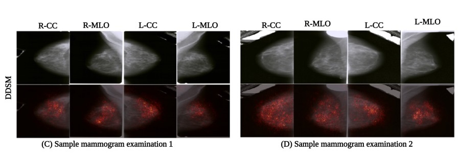 Image: The image illustrates the gradient-based saliency maps predicted by the MV-DEFEAT model (Photo courtesy of University of Eastern Finland)