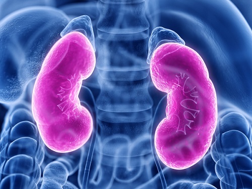 Image: The radiology test can be used to diagnose immune checkpoint inhibitor-associated acute kidney injury (Photo courtesy of 123RF)