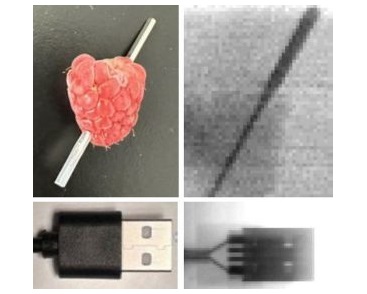 Image: The new X-ray detector produces a high-quality radiograph (Photo courtesy of ACS Central Science 2024, DOI: https://doi.org/10.1021/acscentsci.4c01296)