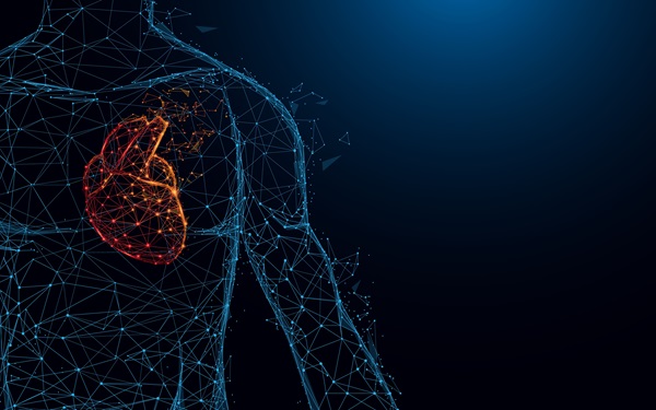 Image: The new software program uses artificial intelligence to read echocardiograms (Photo courtesy of Adobe Stock)