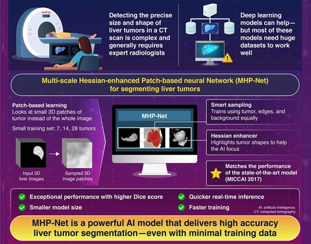 Image: Patch-based deep-learning model with limited training dataset for liver tumor segmentation in contrast-enhanced hepatic CT (Yang et al. (2025), IEEE Access, 10.1109/ACCESS.2025.3570728)