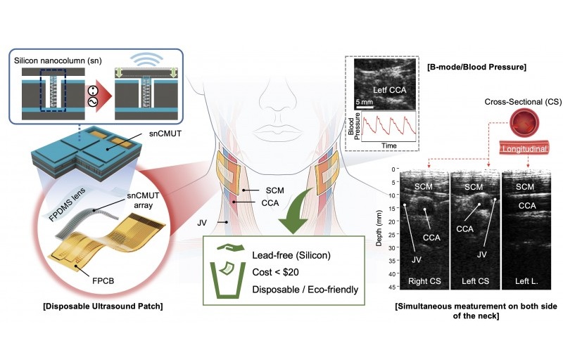 Image: The ultrasound patch performing simultaneous ultrasound imaging and blood pressure measurement of both carotid arteries (Photo courtesy of KIST)