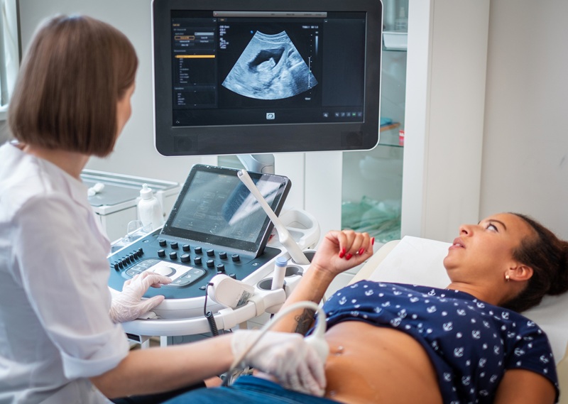 Image: The AI model improves detection of life-threatening placenta accreta spectrum (Photo courtesy of 123RF)