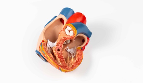 Image: Findings may improve treatment, as nonischemic heart attacks require different approaches than traditional heart attacks (photo credit:123RF)